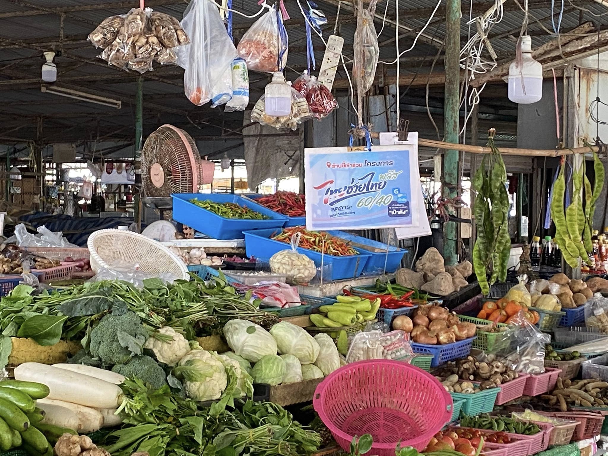 ปลุกเศรษฐกิจฐานรากเมืองบ่อยาง! ดีเดย์ &ldquo;ไทยช่วยไทยพลัส&rdquo; ดันคนพุ่งชนตลาดริมเลตุนของสด-ของกินเข้าบ้าน